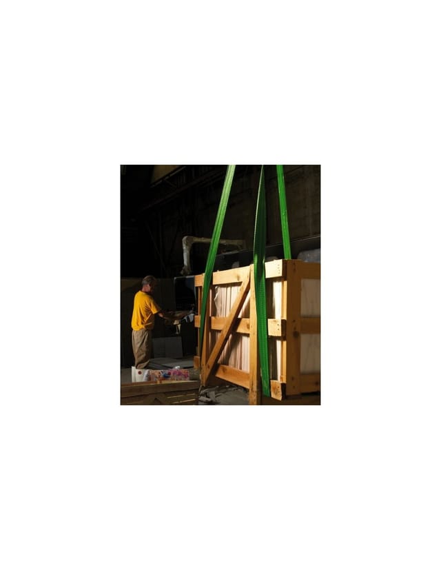Elingue Platte mit Schnalle 3t 2 m