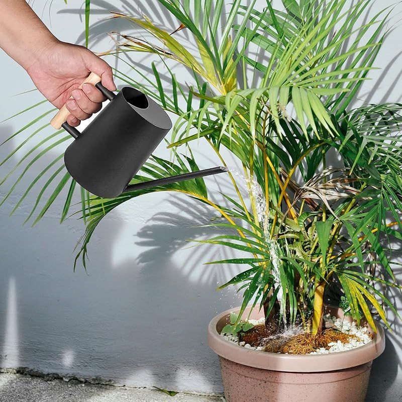Gießkanne Mit Langem Ausguss (1 Liter) Und Holzgriff, Kleine Edelstahl-gießkanne, Für Gartenpflanzen, Zimmerpflanzen (topfpflanzen, Orchideen, Blumen, Kräuter, Sukkulenten), Schwarz
