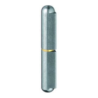 FP - simonswerk 5 1807130 00208 Profilrolle ko 41 Bandlänge 80 mm Stahl blank Stift-D