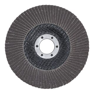 Fächer-Schleif-Scheibe ø 125 mm k 120