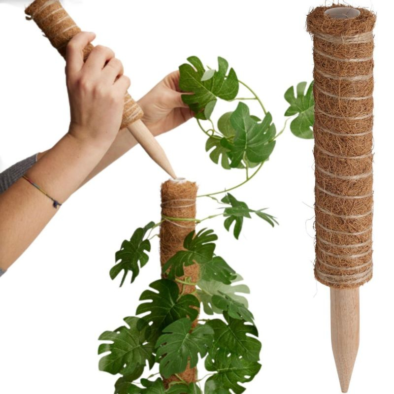 Kulturzubehör Progarden 30 Cm Pflanzenstütze Kokos