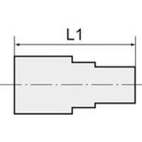 Muffe, reduzierend, g 1/8 i., g 1/4 i., sw 17, Messing vernickelt - Riegler Bild 2