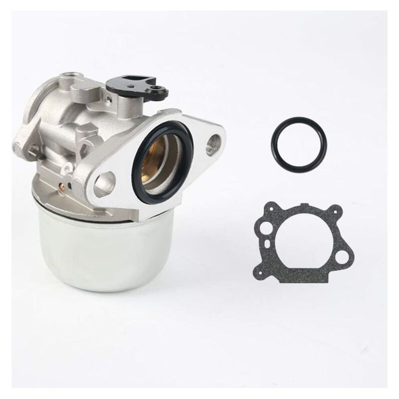Kit De Remplacement De Carburateur De Moteur Compatible Avec Brigg Et Stratton 497586 498170 799868 498254 497314 497347 698444