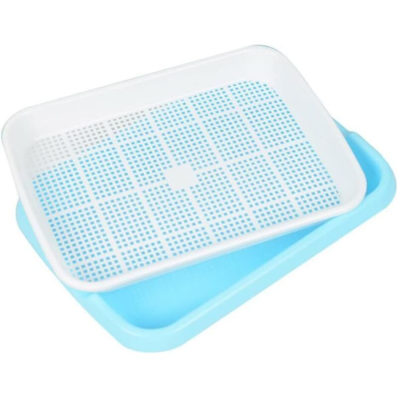 Seed Sprouter Tray Graines De Germination Graines De Blé Herbes Hydroponics Durable Plateau De Germination Pour Jardin, Maison, Bureau