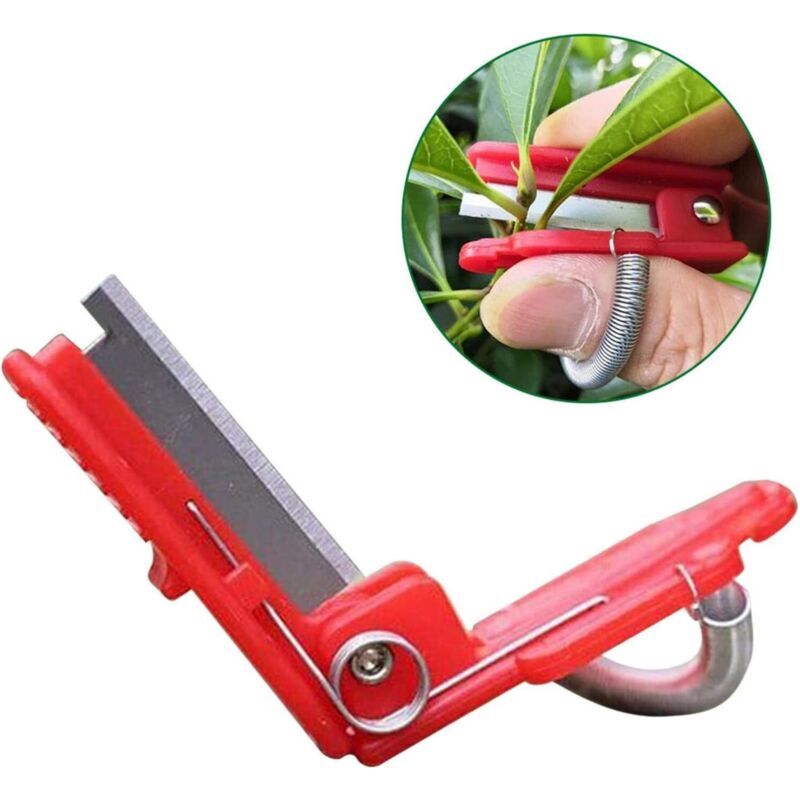 5 Pièces Outil De Cueillette De Plantes, Séparateur De Pouce De Jardin Outil De Cueillette De Récolte De Thé De Légumes Pour Fruits
