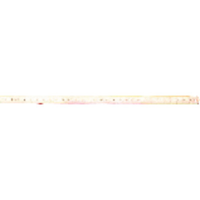 962030030 Maßstab 0.3 m Edelstahl - BMI