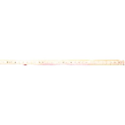 962030030 Maßstab 0.3 m Edelstahl - BMI