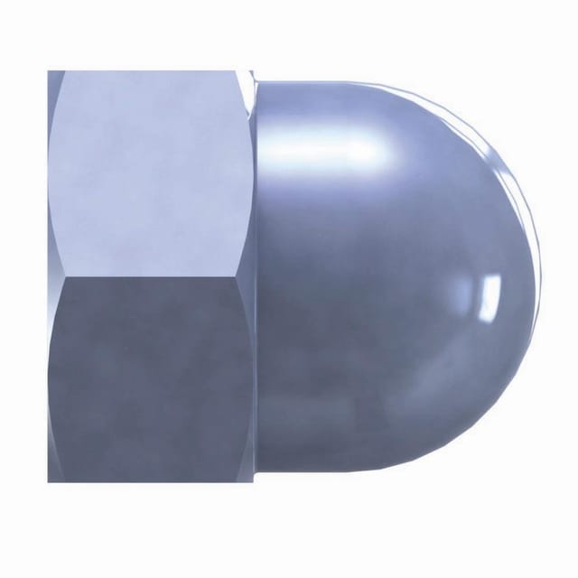 Reisser - sb Hutmuttern verz 6 mm Paket 100 Stück Stahl, verzinkt, blau passiviert, verpackt a 100