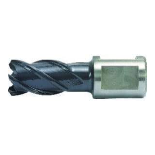 Kernbohrer HSS-Co rqx 14/30mm Alfra