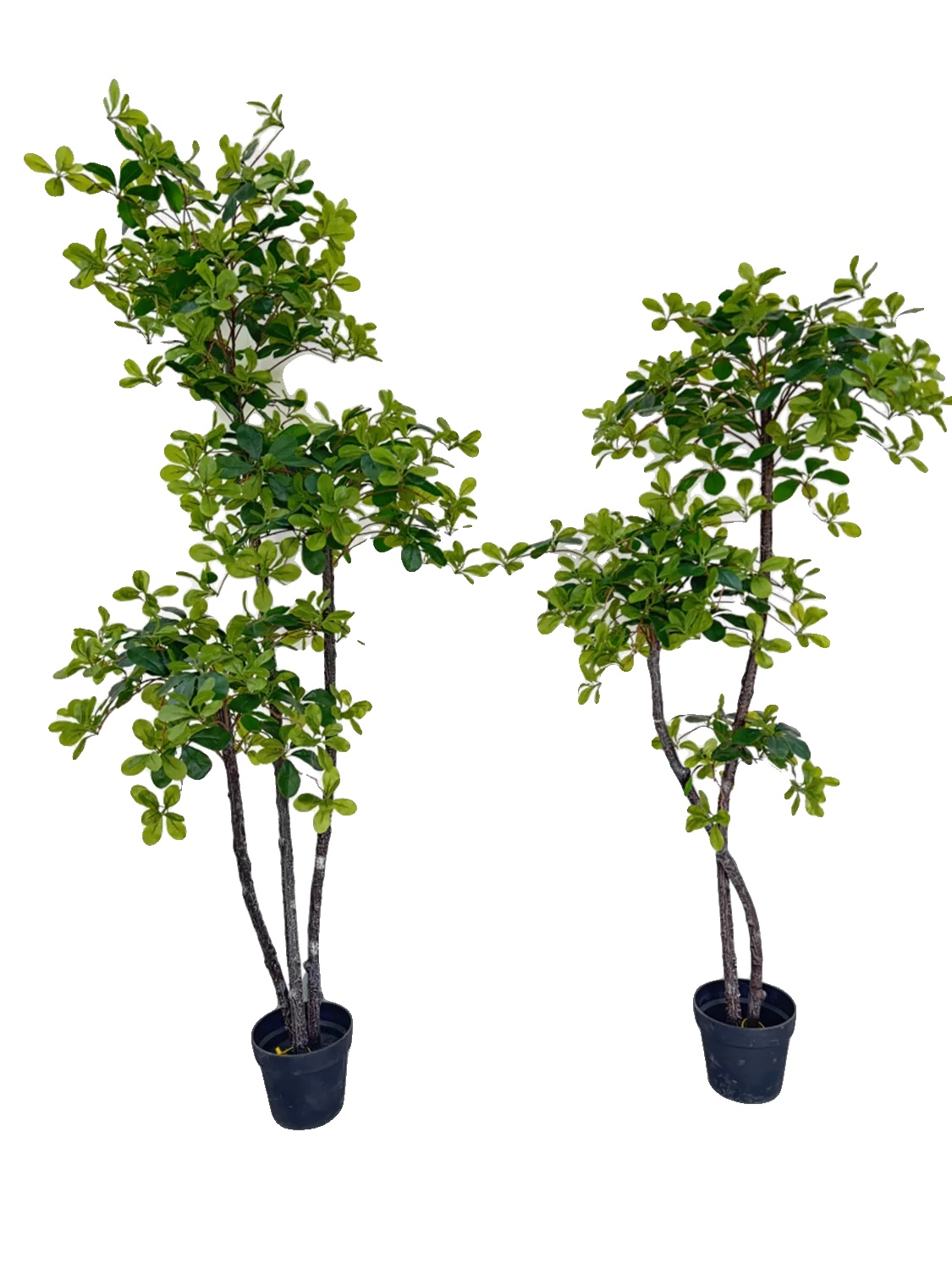 Künstlicher Olivenbaum, Realistisches Design, Pflegeleichte Innendekoration, Grün, 180 Cm