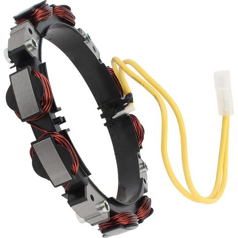 Briggs & Stratton 592830 Lichtmaschine, Hocheffiziente 12v Lichtmaschine, Geeignet Für 15-18 Ps Vanguard Motoren Und Große Haushaltsmotoren.
