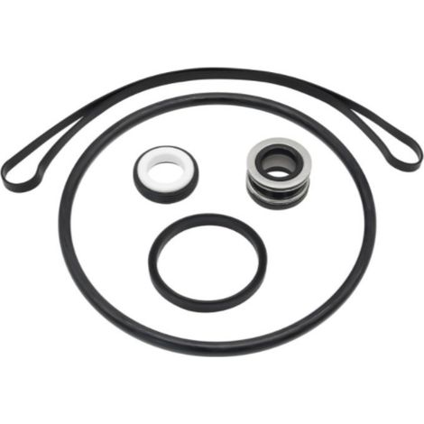 Hayward Super Ii Kabelverbinder-o-ring-reparatursatz - Kompatibel Mit Den Pumpen Sp3000x, Spx1600z2 Und Ps-201