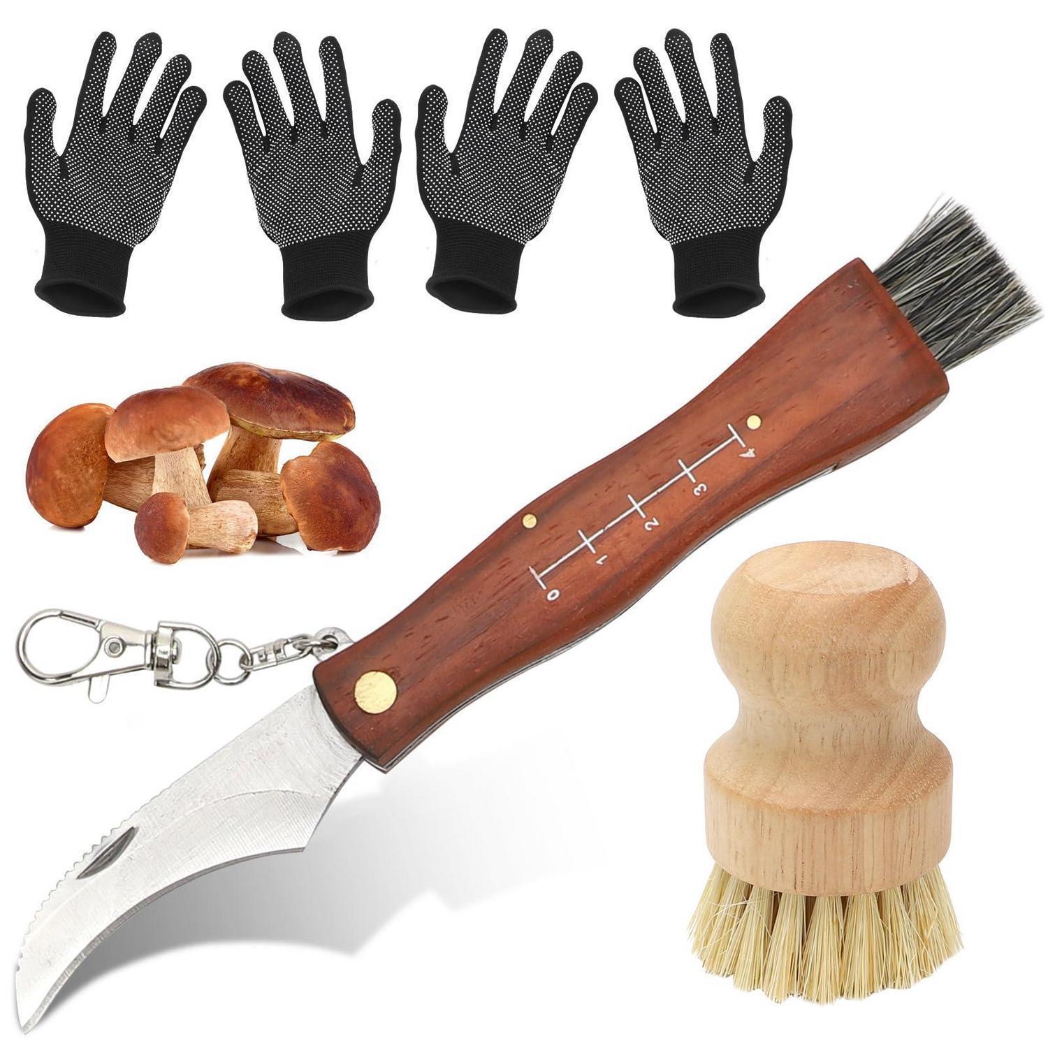 Pilzmesser Set Mit Bürste Und Handschuhen, Klappmesser Für Pilzsammler