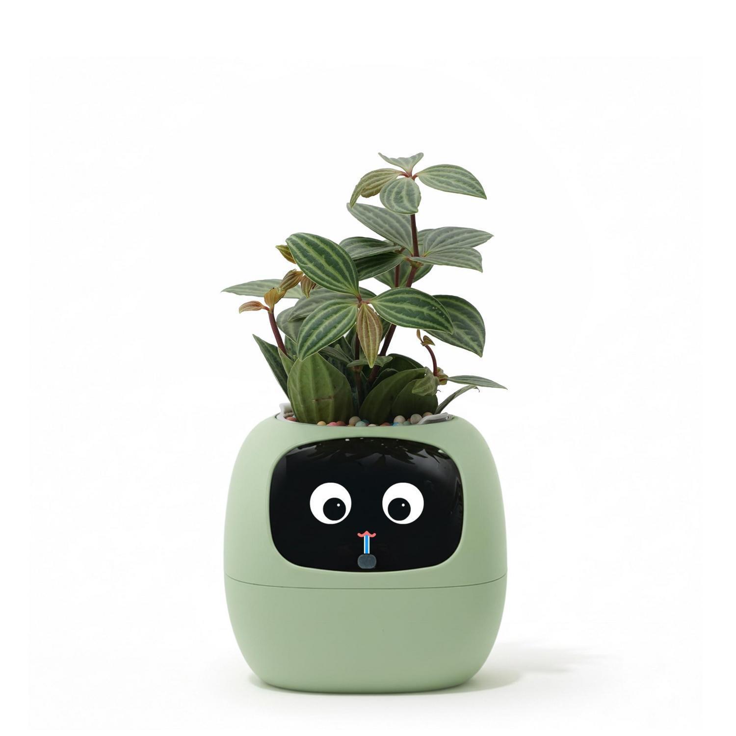 Intelligenter Blumentopf Mit Automatischer Bewässerung Und App-steuerung Für Innenpflanzen