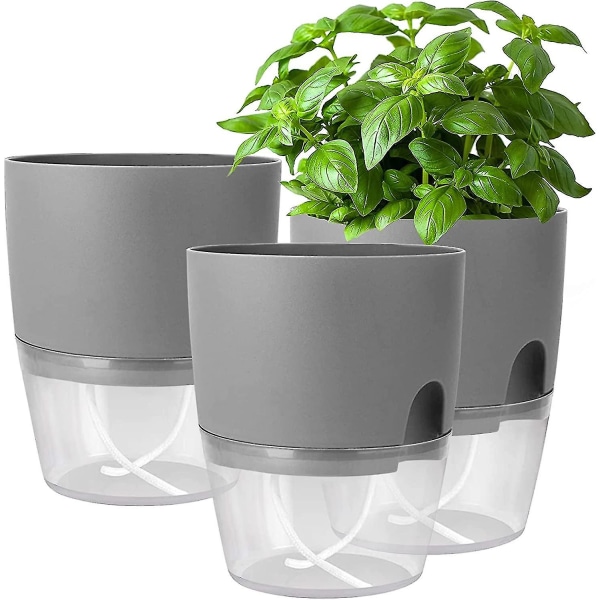 Selbstbewässerndes Kräutergarten-set Für Die Fensterbank – Küchenkräutergarten, Frische Kräuter Anbauen