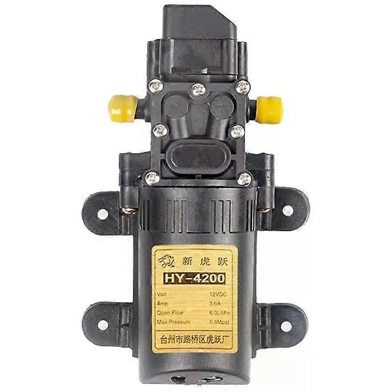 12v Elektrische Sprühwasserpumpe, Motor, Landwirtschaftliche Doppelkern-selbstansaugpumpe, Hochdruck-pestizidmaschine, Zubehör