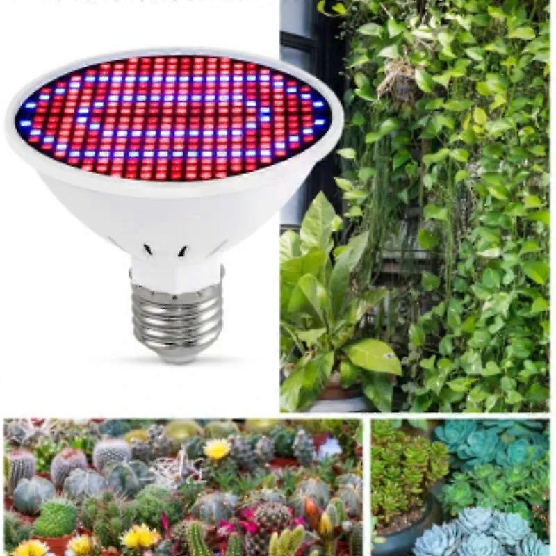 220v 110v Led-pflanzenwachstumslampe Vollspektrum E27 Gewächshaus-setzlings-obst- Und Gemüse-fülllicht