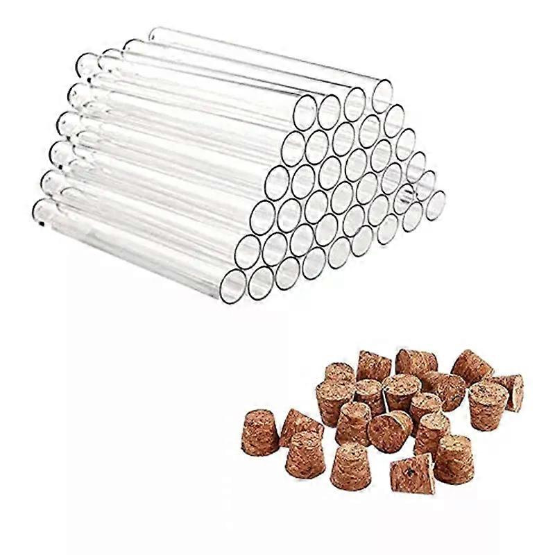 40er-pack Kunststoff-reagenzgläser Mit Korken, 20 Ml, 150 X 16 Mm, Für Blumen, Bastelarbeiten, Süßigkeiten, Flüssigkeiten, Gewürze Usw.
