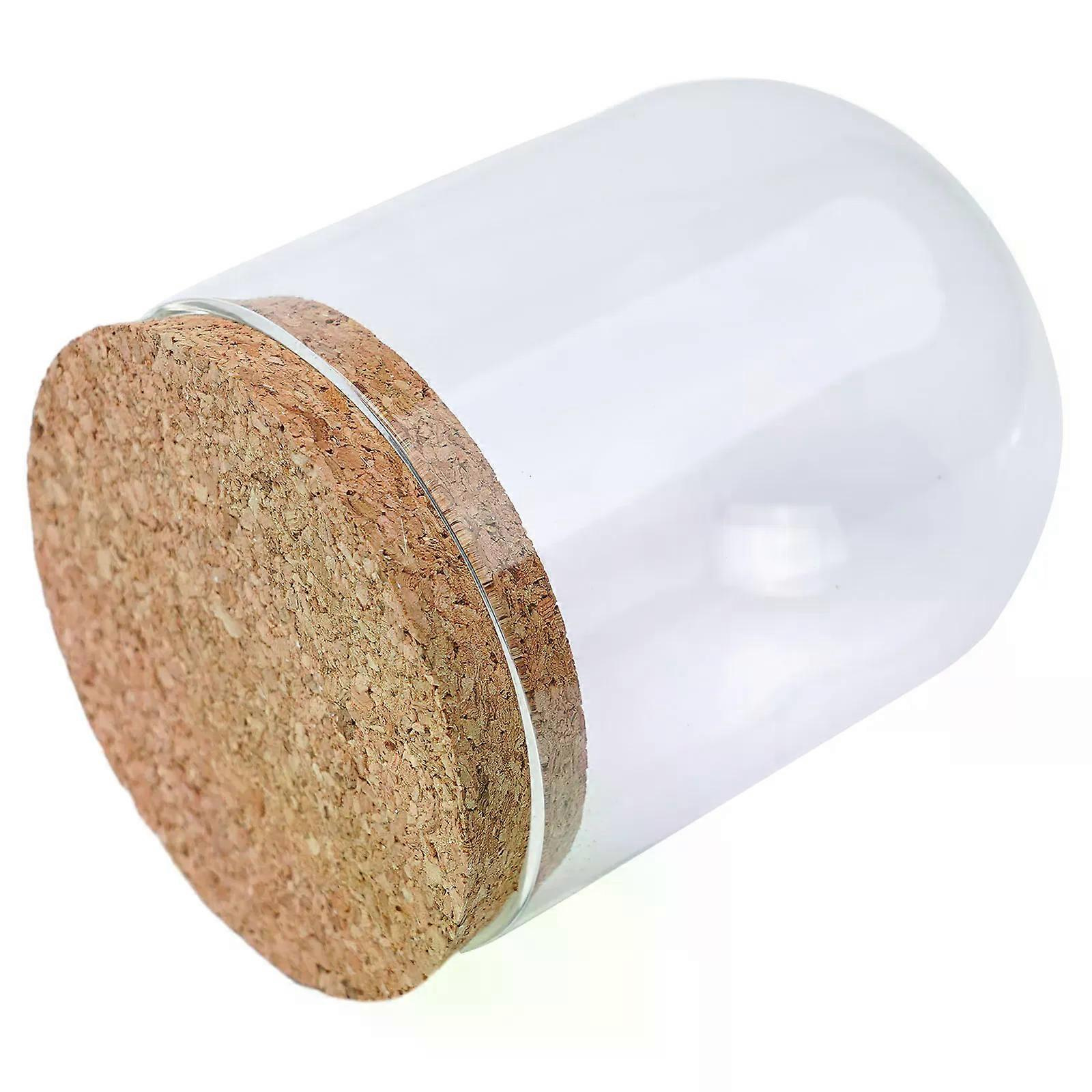 Hochwertige, Praktische Neue Glasabdeckung Für Pflanzenvasen, Diy-dekoration, Kuppeltisch Mit Holzkork