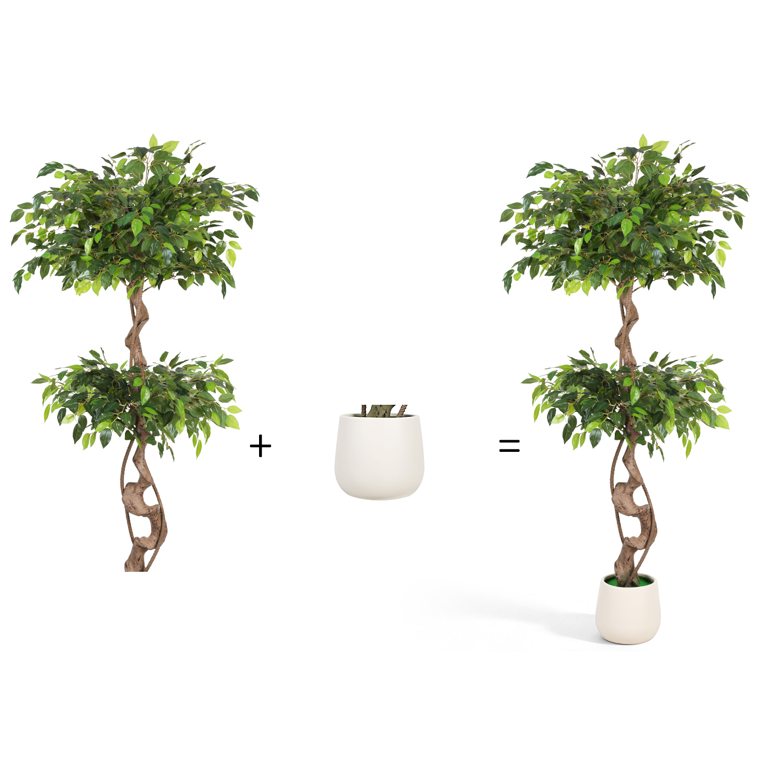 Tolletour Kunstpflanze Ficus 150 Cm, Brauner Stamm, Weißer Topf