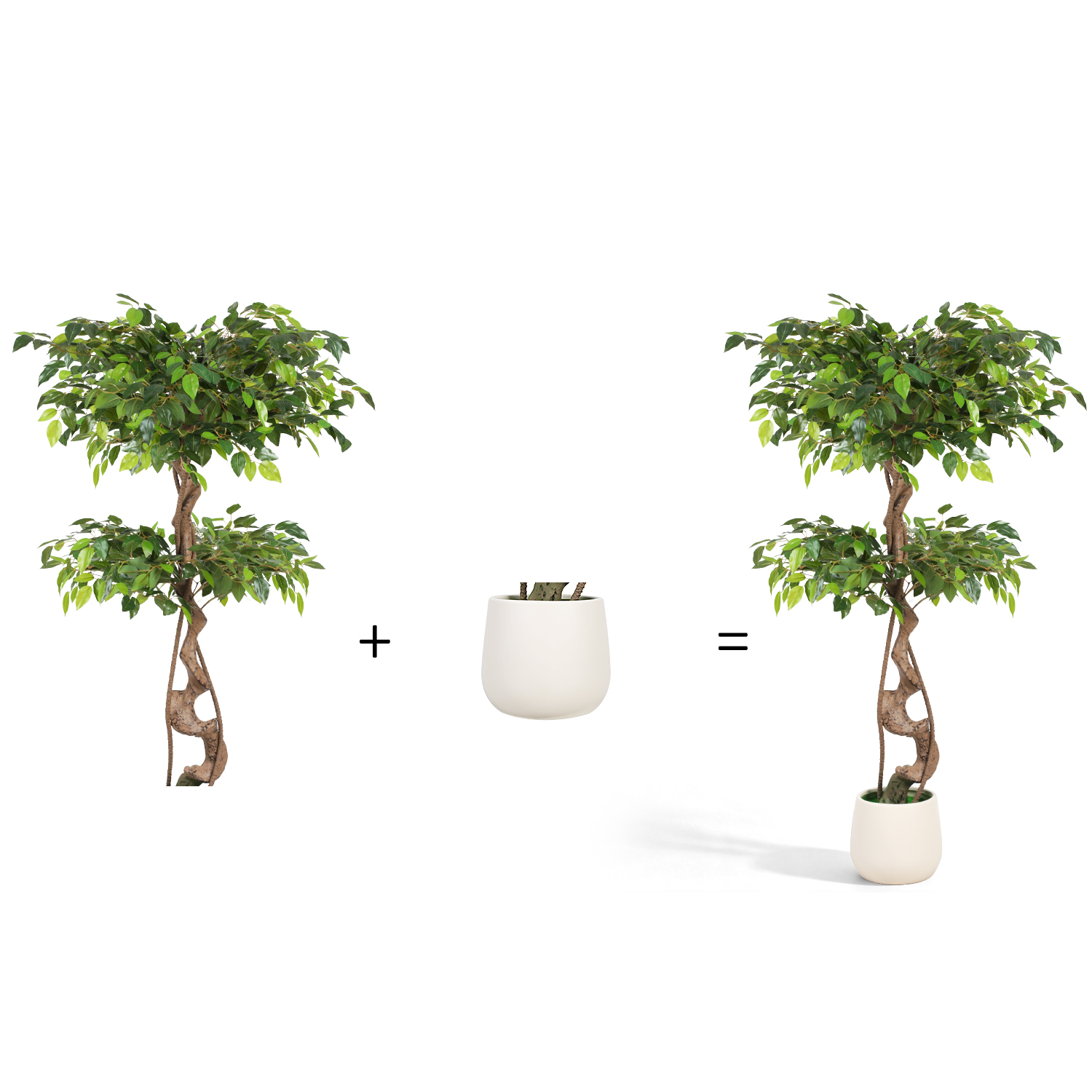 Wolketon Kunstpflanze Ficus 120 Cm, Brauner Stamm, Weißer Topf