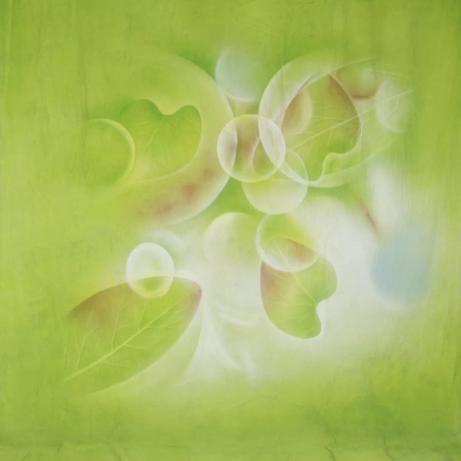 Walimex Pro Motiv-Stoffhintergrund 'Fresh' 3X6M