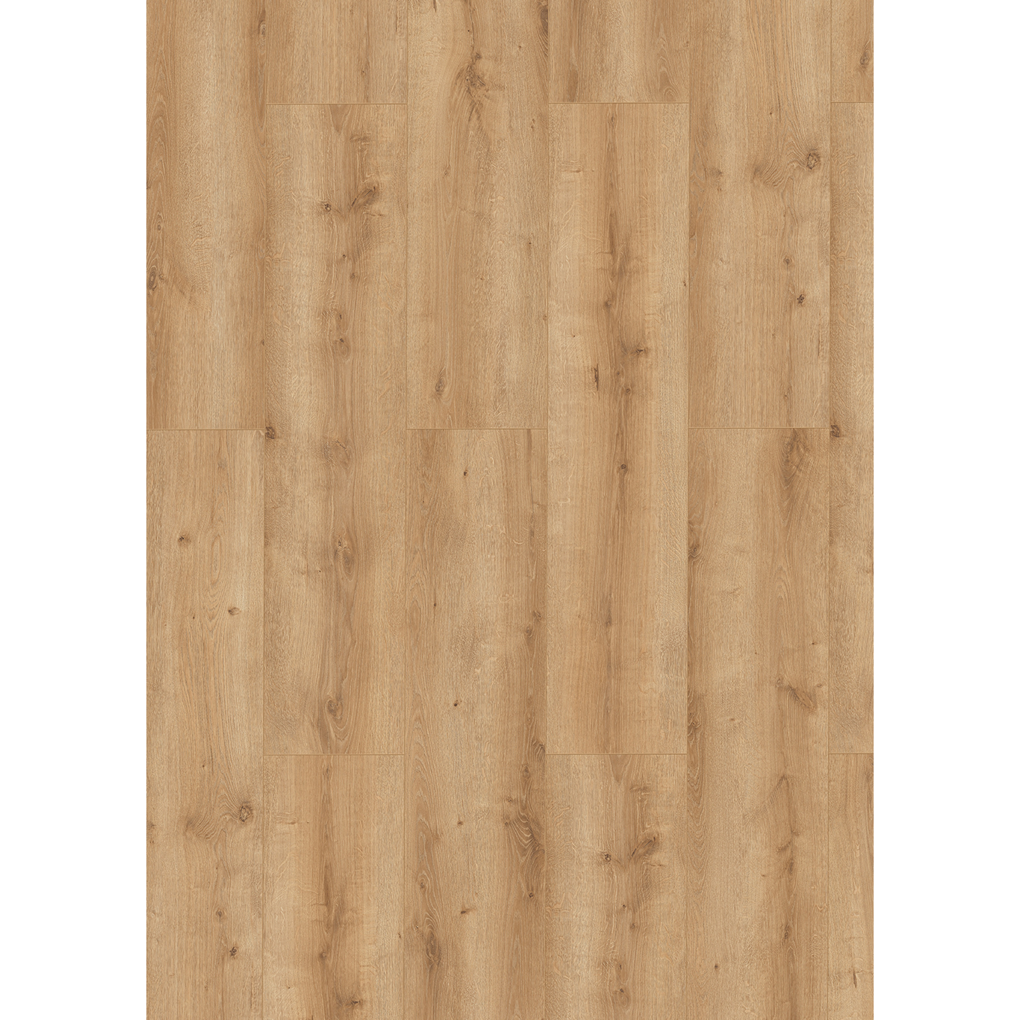 Classen Laminat 'Oak Sand' eichefarben 7 mm