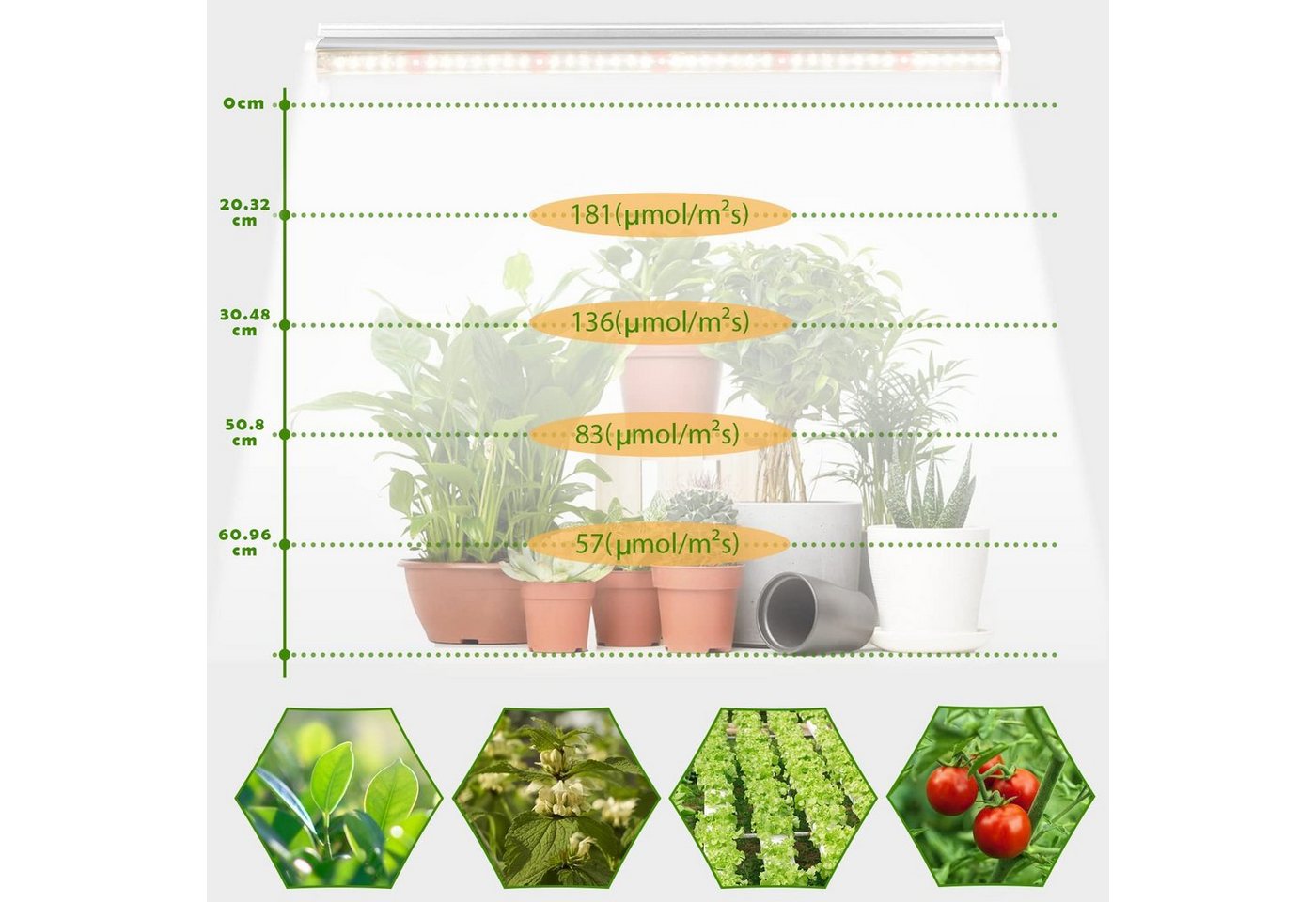 Laybasic Pflanzenlampe Volles Spektrum LED Pflanzenlampe T5 5000K Grow Lampe Zimmerpflanzen, 1 To 4 Bild 5