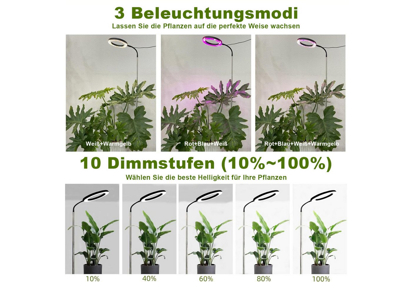 LMaxhome Pflanzenlampe LED Vollspektrum Wachstumslicht 25-155CM Höhenverstellbar mit 72 LEDs, mit EU-Adapter, LED wechselbar, 3 Licht-Modi, 10 Helligkeit Dimmbar, 3/9/12H Timer, 1000lm, Verstellbare Höhe, mit Sockel und Erdspieß, Pflanzenlicht für Große Pflanzen, Garten, Gewächshäuser Bild 4