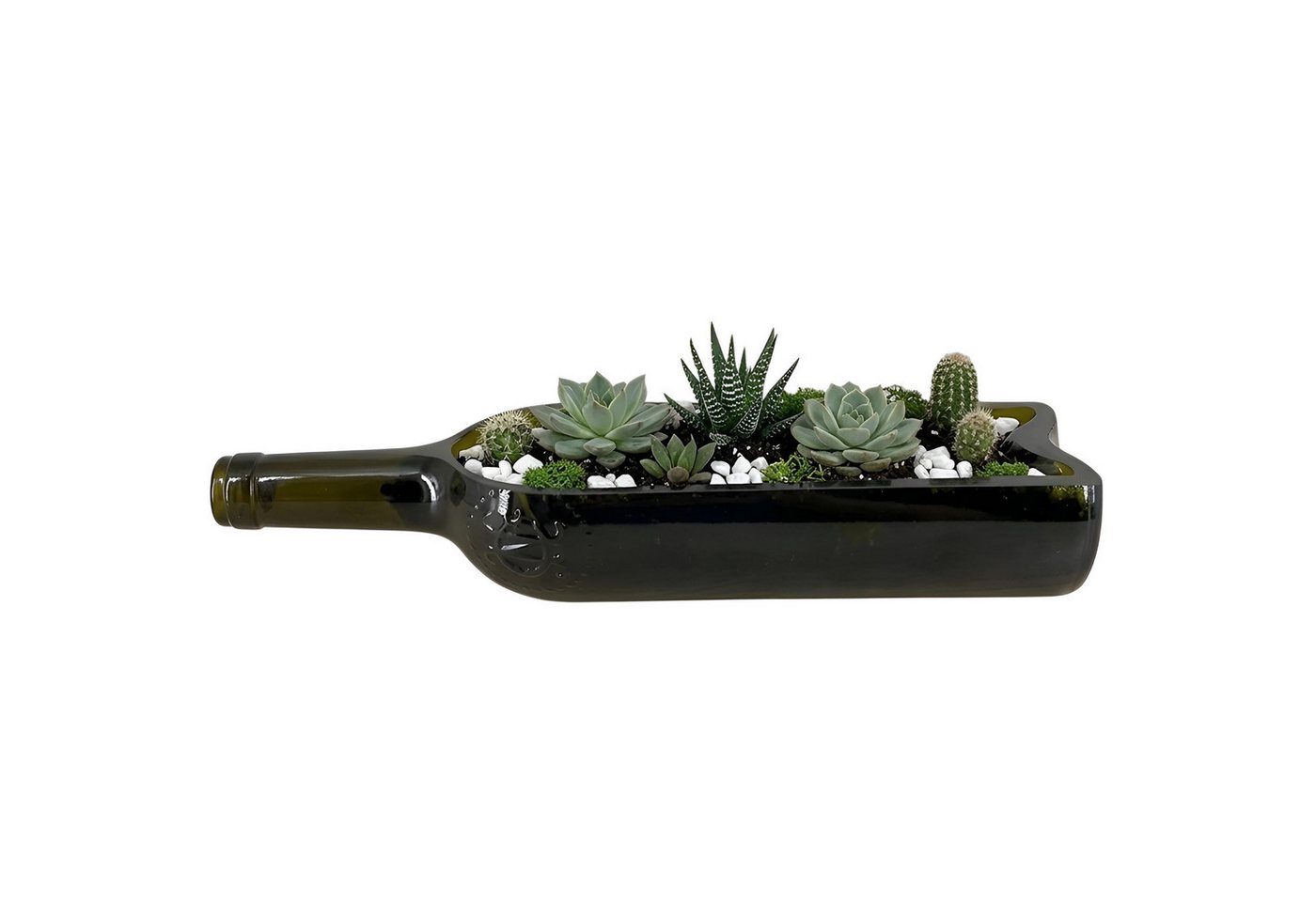 Upglassic Sukkulente Planter aus echter Weinflasche – Upcycling Pflanzgefäß für Sukkulenten Blumentopf für Sukkulenten (Maße: ca. 30 x 7 x 6 cm), 1 St., Upcycling-Glas aus alten Weinflaschen Bild 3