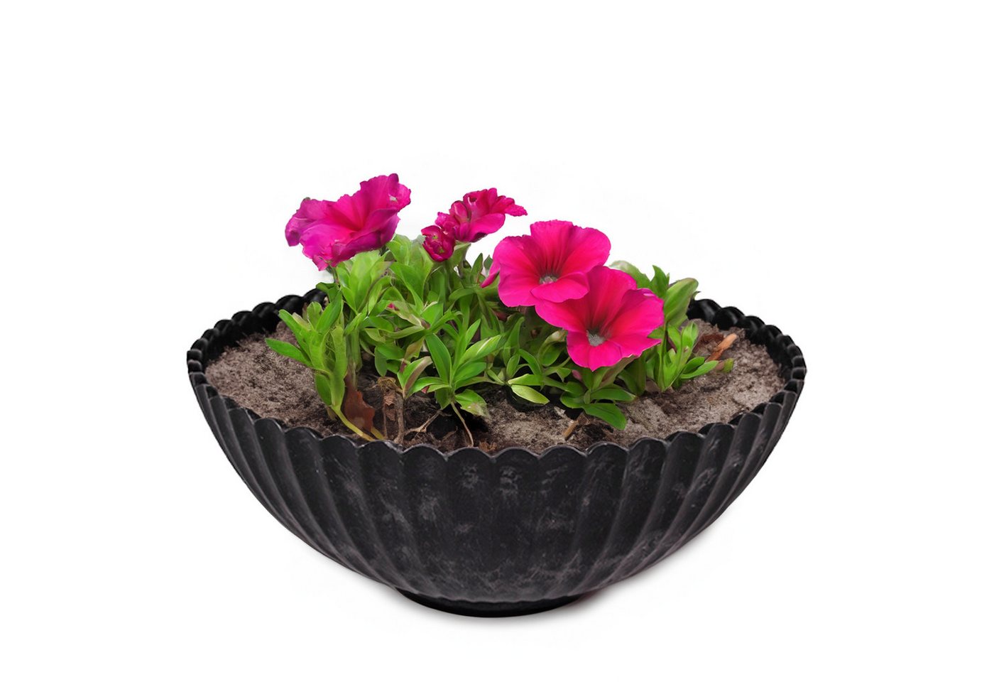matches21 HOME & HOBBY Blumentopf Runde Pflanz-Schale gewellt für draussen schwarz marmoriert 16 cm (1 St), Wetterfeste Blumen-Schale als moderne Outdoor Gartendeko Grabschmuck Bild 4