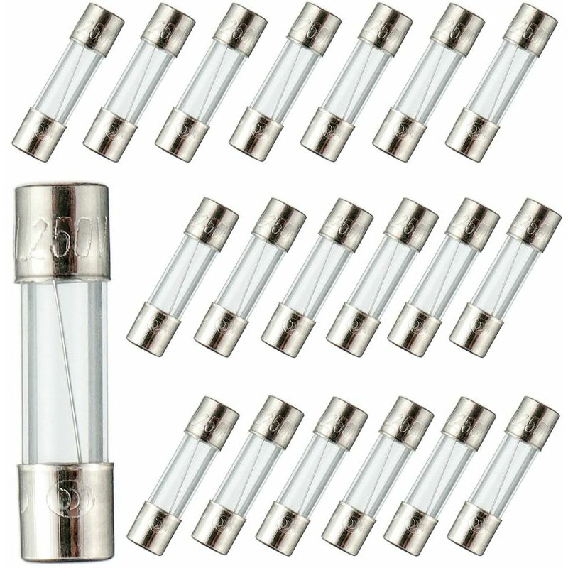 F10al250v 5 X 20 Mm 10 A 250 V Flinke Sicherungen 10 Amp 250 Volt 0,2 X 0,78 Zoll Glasrohrsicherungen (packung Mit 20 Stück)
