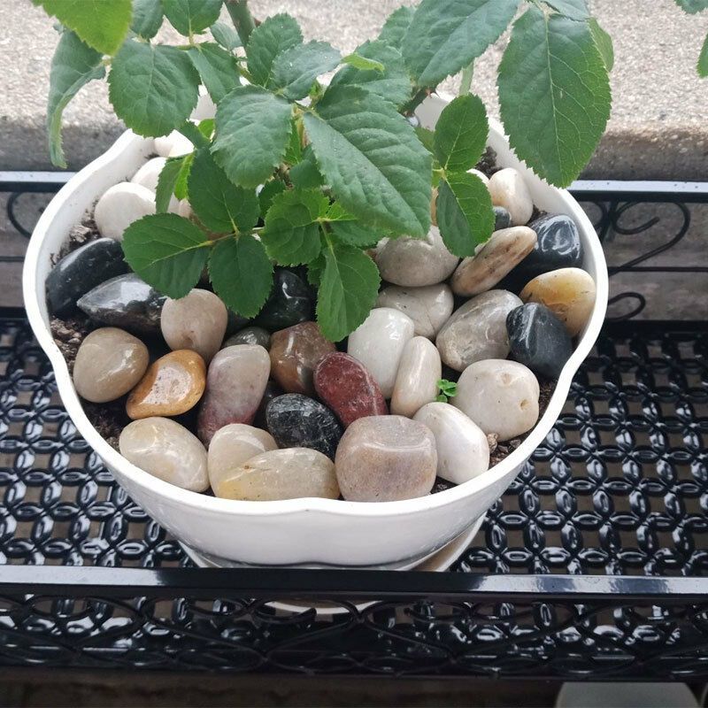 Vurahome – Polierte, Dekorative Naturkiesel, Ziersteine, Naturkies Für Den Garten, Steine 2–4 Cm, 0,5 Kg