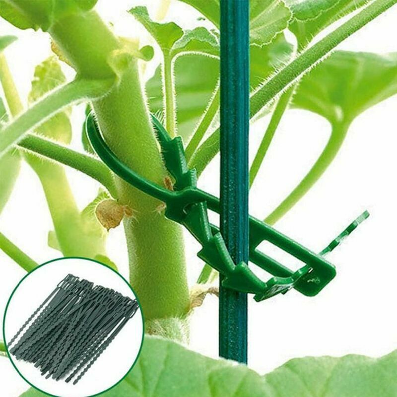 200 Stück Verstellbare Drahtbinder Für Gartenpflanzen, Grüne, Multifunktionale, Robuste Drahtbinder Für Pflanzen (13 Cm Und 17 Cm)