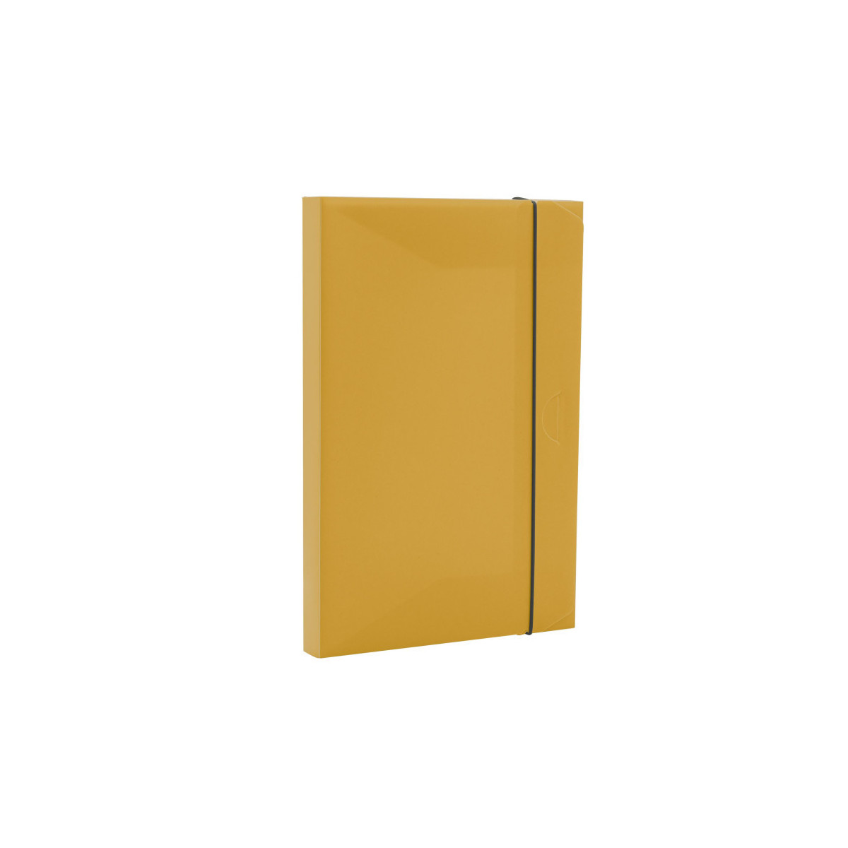 Fellowes Projektmappe Holos Rücken 3 Cm Aus Pp Sandgelb