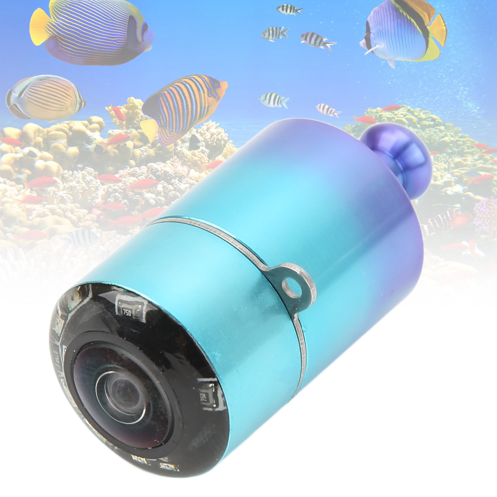 Cvbs-n 5v-28v Marine Elektronische Fischfinderkamera (tiefwasser-farbmodell Der Dritten Generation)