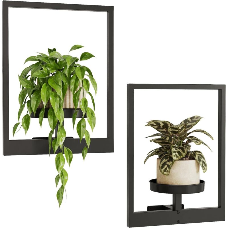 Set Aus 2 Wandmontierten Hängeregalen Für Zimmer- Und Gartenpflanzen - Schwarze Metall-wandhalterung - Raumdekoration (topf Nicht Enthalten)