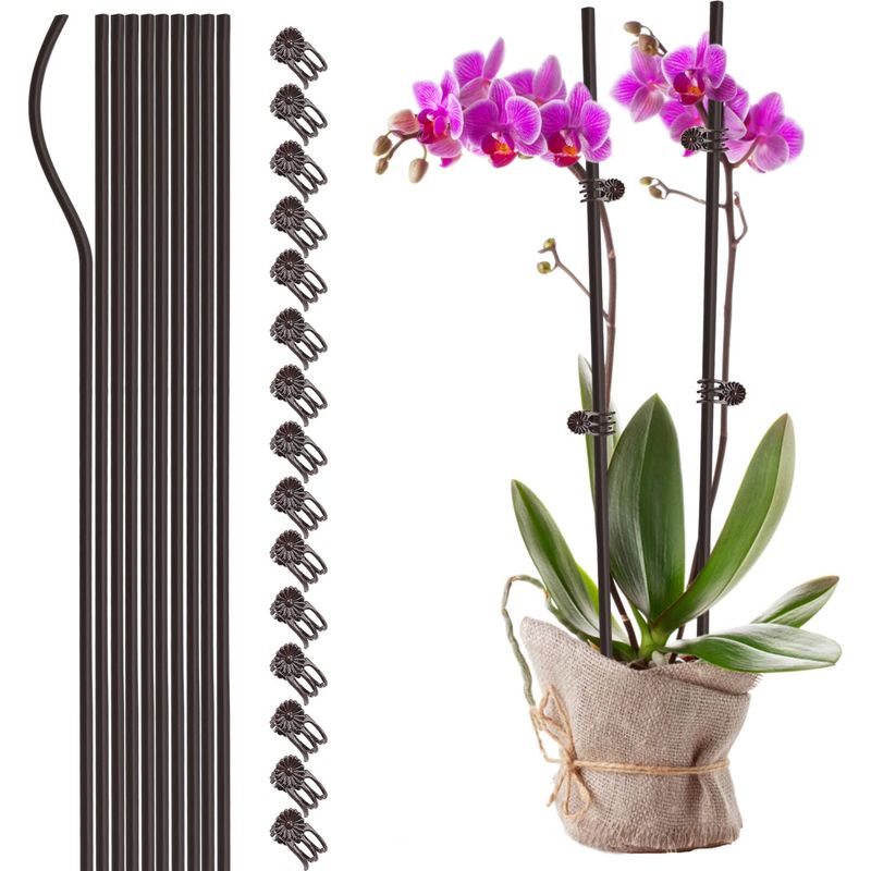 10 Stück Pflanzenstützdraht, Faltbare Kunststoff-pflanzenkäfige Für Gartenblumen, Kräuter Und Gemüse (braun)