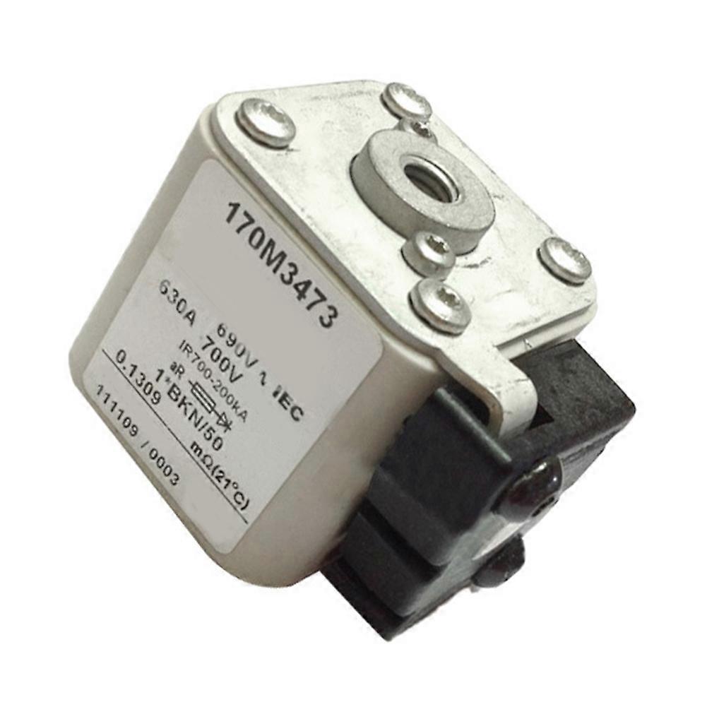 Schnellwirkende Sicherung Ac1250v 100a 100ka 170m3473