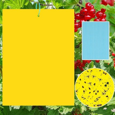 Gelbe Insektenfallen, Doppelseitig Mit Klebefallen Gegen Fliegen Und Weiße Insekten, Effektives Insektenabwehrpapier, Ideal Für Den Innen- Und Außenbereich