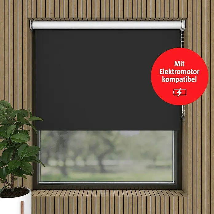 Verdunkelungsrollo (B x H: 180 x 275 cm, Schwarz)