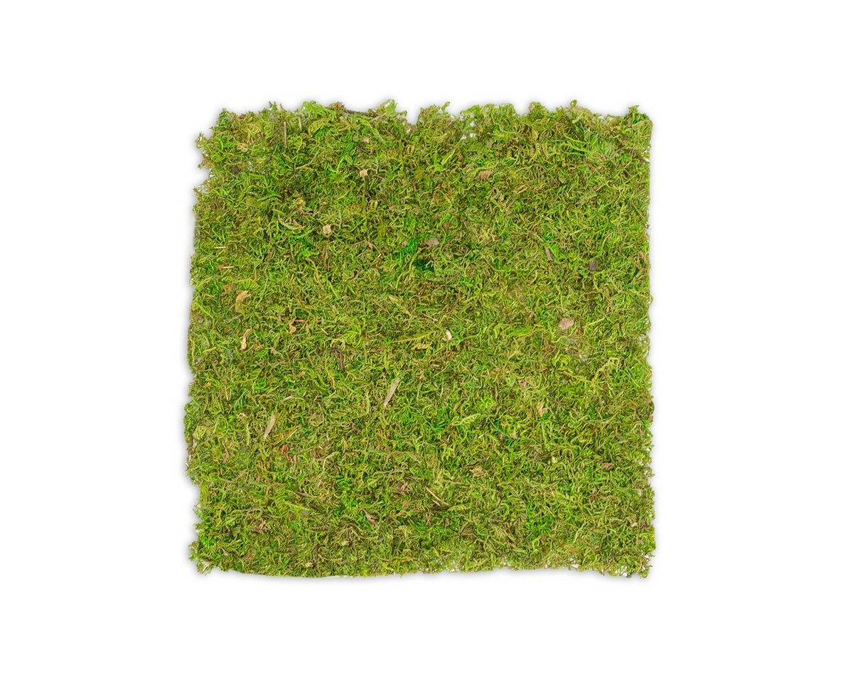 NaDeco Bastelnaturmaterial Moosplatte, Quadratisch, Größe ca. 38 x 38cm Moosbild selber machen Bild 2