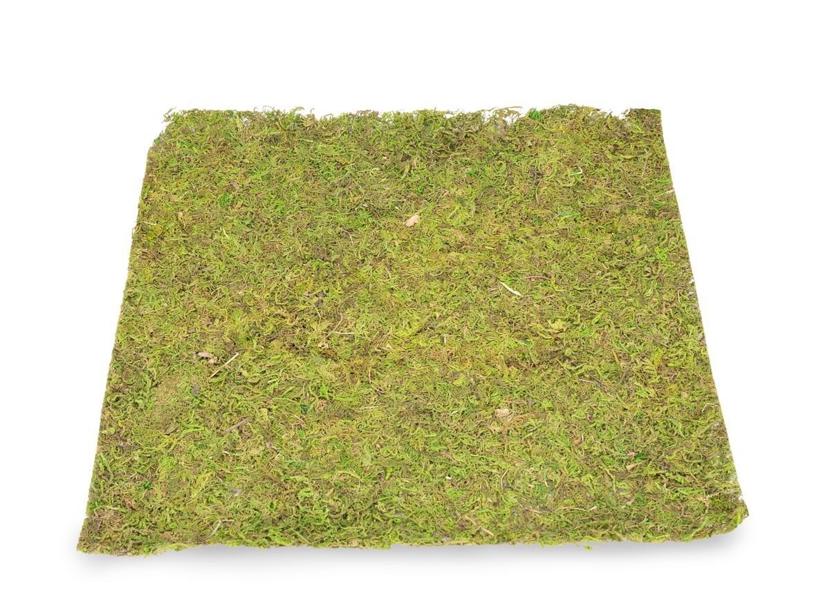 NaDeco Bastelnaturmaterial Moosplatte, Quadratisch, Größe ca. 38 x 38cm Moosbild selber machen Bild 3