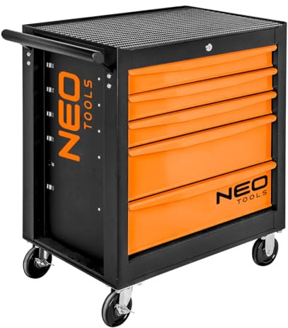 Neo Werkstatt-schrank Grau 5 Abschließbare Schubladen