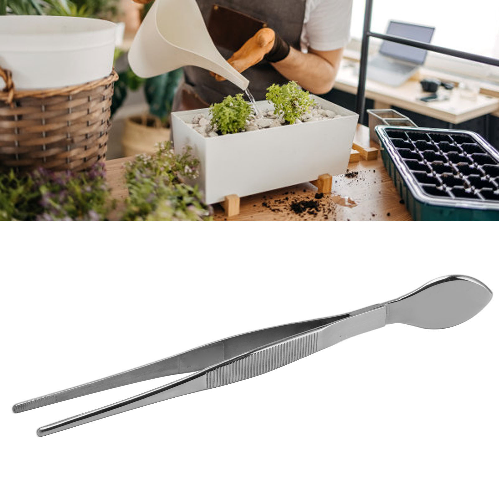 Gerade Edelstahlkelle Zum Auflockern Und Umtopfen Von Bonsai Gebogene Pinzette Zum Einpflanzen Und Umtopfen Von Sukkulenten
