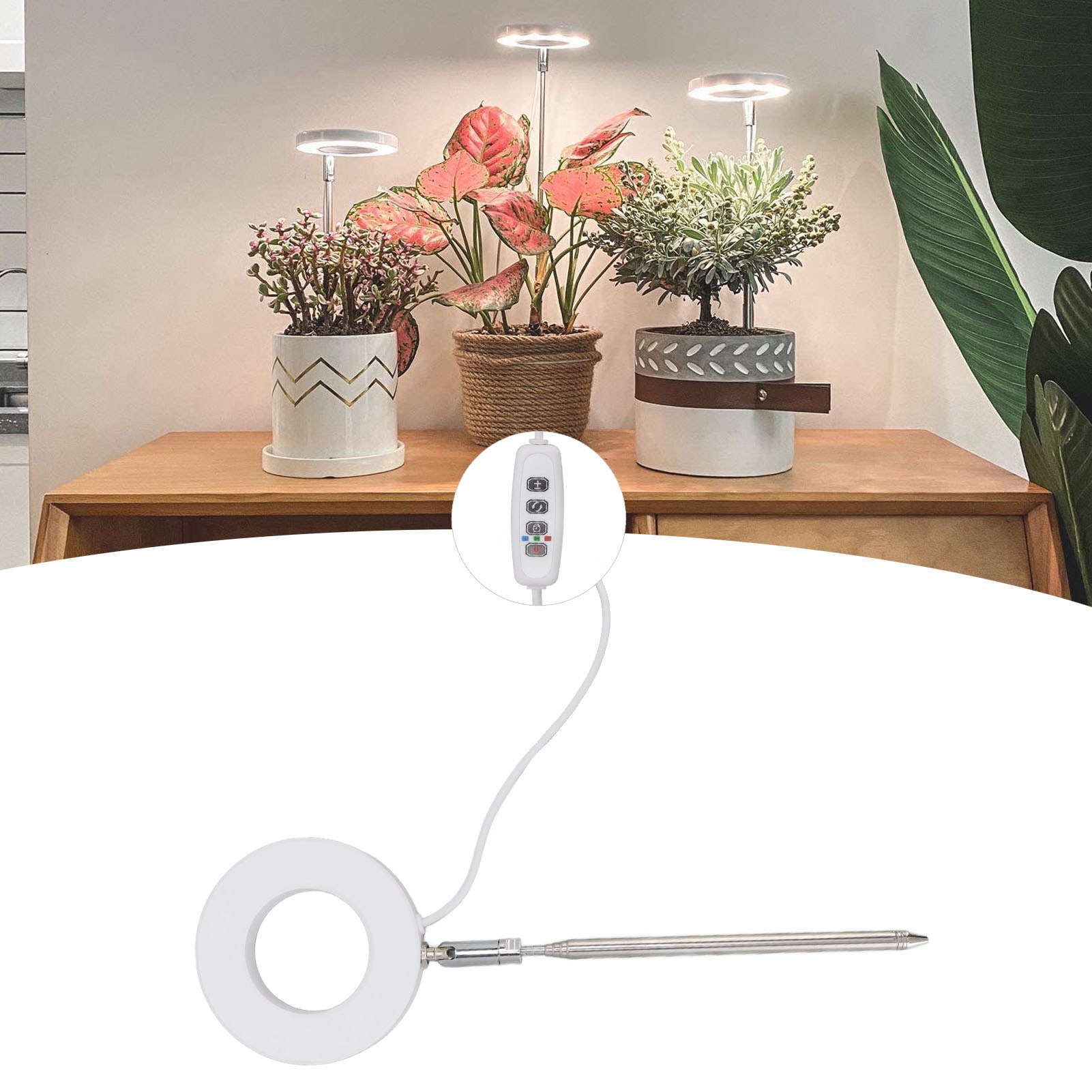 Angel Ring Sukkulenten-pflegelampe, Vollspektrum-led, Usb-betrieben, Für Blumen Und Bonsai.