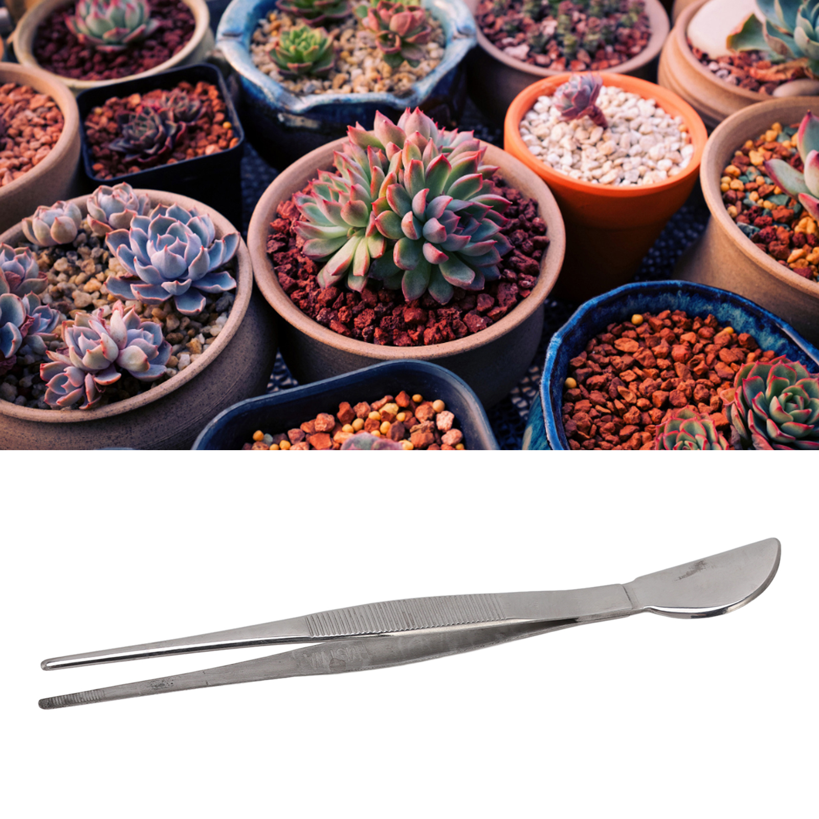 Halbmondförmiges Edelstahlmesser Zum Lösen Und Umtopfen Von Bonsai, Pinzette Zum Einpflanzen Und Umtopfen Von Sukkulenten, Festpreis.