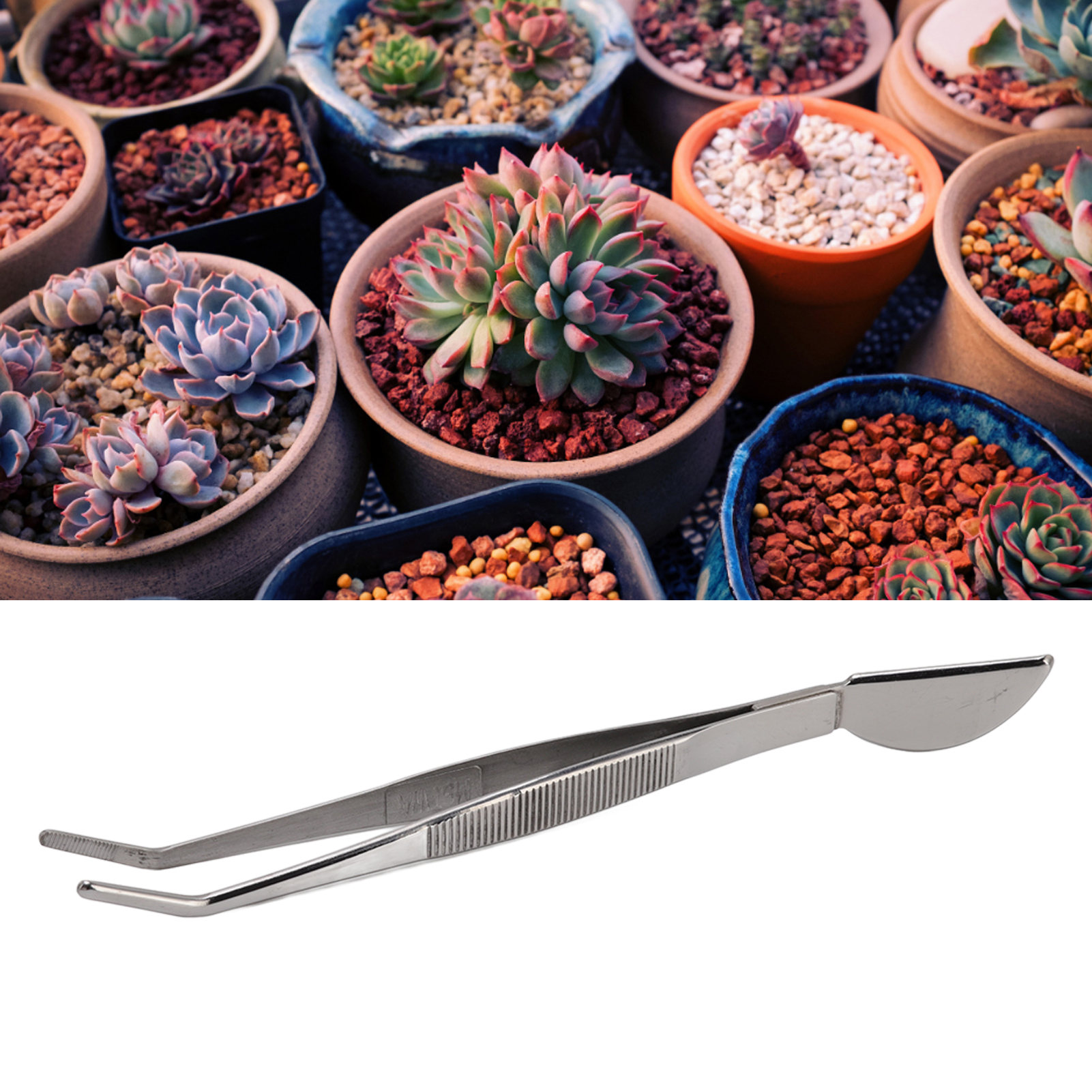 Halbmondförmiges Messer Aus Edelstahl Zum Auflockern Der Erde Und Umtopfen Von Bonsai, Pflanz- Und Umtopfpinzette Für Sukkulenten (gebogene Ausführung)