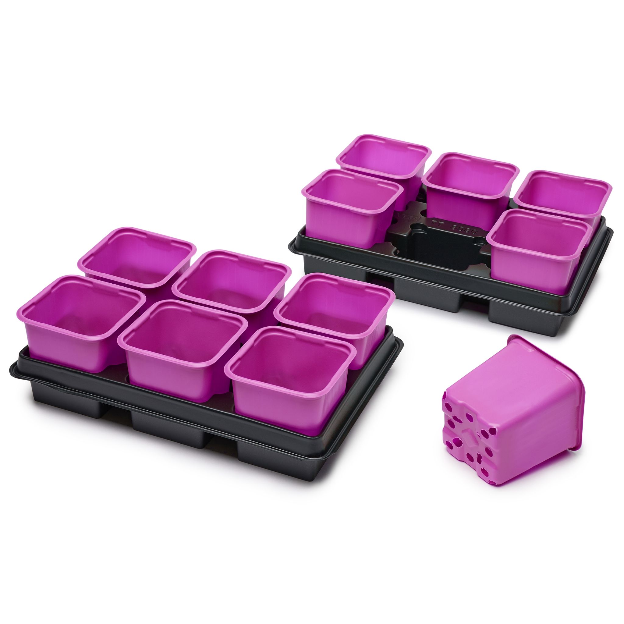 Garronda Anzuchtset Mit Untersetzer 27 X 18 Cm Quadratisch Rosa 2 Stück Gd-0064