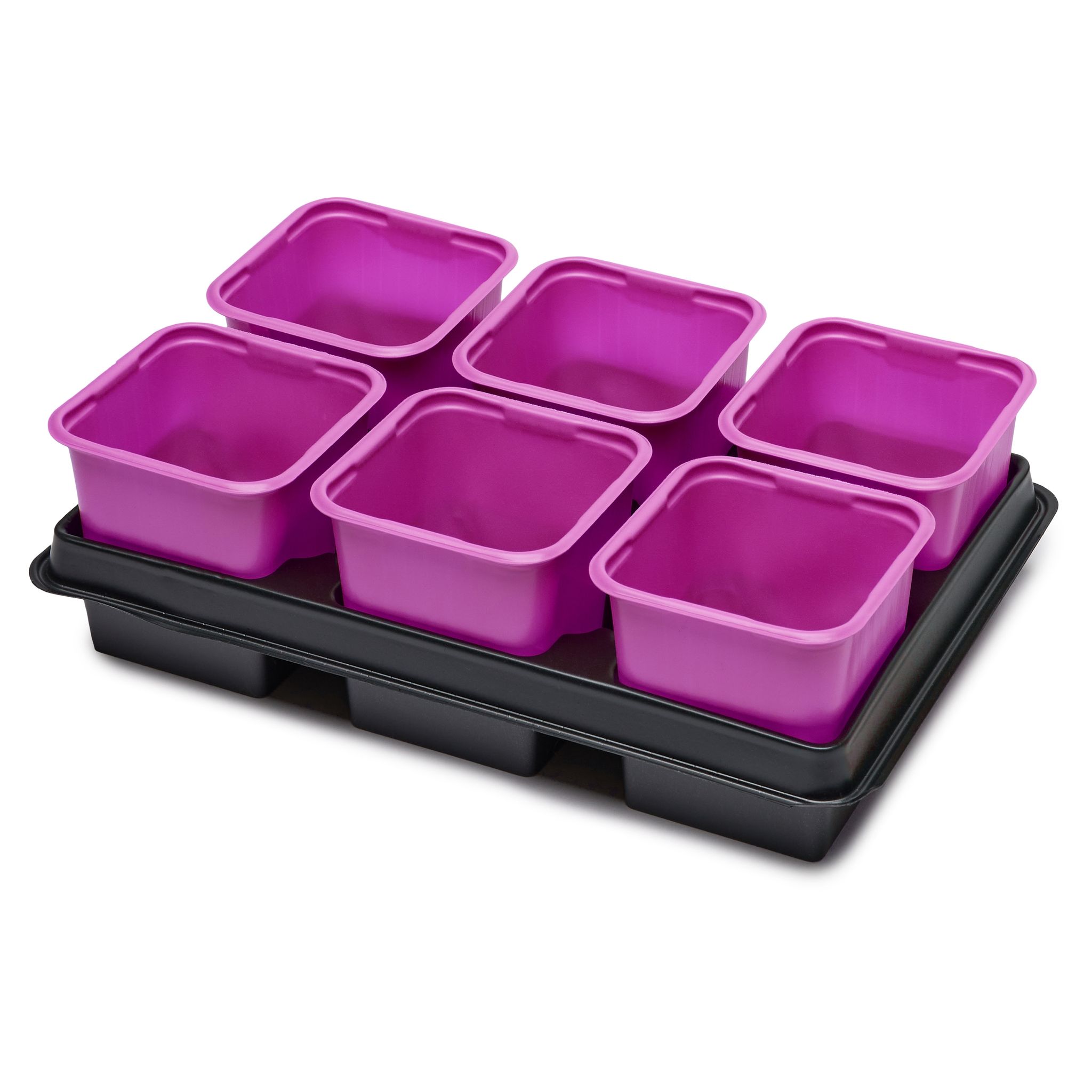 Garronda Anzuchtset Mit Untersetzer 27 X 18 Cm Quadratisch Rosa 1 Stück Gd-0064